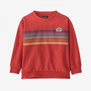 Patagonia Baby Lightweight Crew Sweatshirt Lasten Puserot Punainen Suomi | WV490-3559