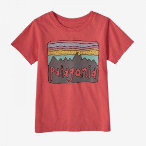 Patagonia Baby Regenerative Organic Certified™ Cotton Fitz Roy Skies T-Shirt Lasten T Paidat Koralli Suomi | UG501-4831