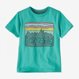 Patagonia Baby Regenerative Organic Certified™ Cotton Fitz Roy Skies T-Shirt Lasten T Paidat Fresh Teal Suomi | XF502-4048