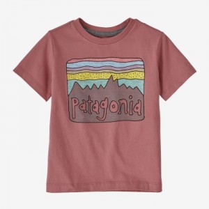 Patagonia Baby Regenerative Organic Certified™ Cotton Fitz Roy Skies T-Shirt Lasten T Paidat Vaaleanpinkki Suomi | UF503-6763