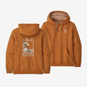 Patagonia GPIW™ Uprisal Hoody Miesten Huppari Ruskea Suomi | RA882-0176