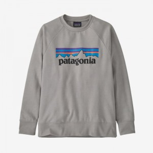 Patagonia Lightweight Crew Sweatshirt Lasten Puserot Harmaat Suomi | XY494-2872