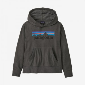 Patagonia Lightweight Graphic Hoody Sweatshirt Lasten Huppari Harmaat Suomi | YT233-6274