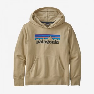 Patagonia Lightweight Graphic Hoody Sweatshirt Lasten Huppari Khaki Suomi | RQ234-1927