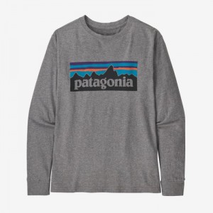 Patagonia Long-Sleeved Regenerative Organic Certified™ Cotton Graphic T-Shirt Lasten T Paidat P-6 Logo: Gravel Heather Suomi | ZN532-3182