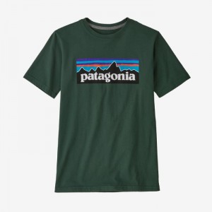 Patagonia Regenerative Organic Certified™ Cotton P-6 Logo T-Shirt Lasten T Paidat Vihreä Suomi | GY554-4942