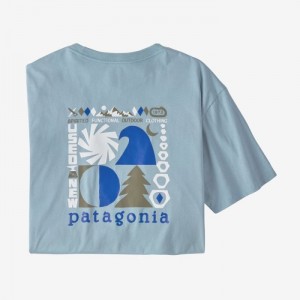 Patagonia Spirited Seasons Organic T-Shirt Miesten T Paidat Sininen Suomi | LW2233-9468