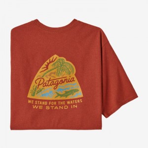 Patagonia Take a Stand Responsibili-Tee® Miesten Tees Ruskea Suomi | BG2465-8854